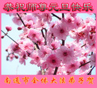 ֹ,մ󷨵ӹףʦ(20)