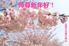 ֹ,󷨵ӹףʦ(24)