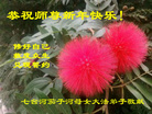 ֹ,󷨵ӹףʦ(21)