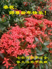 ֹ,󷨵ӹףʦ(21)