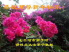 ֹ,󷨵ӹףʦ(21)