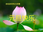 ֹ,󷨵ӹףʦ(19)