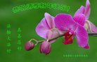 ֹ,󷨵ӹףʦ(19)