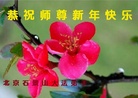 ֹ,󷨵ӹףʦ(21)