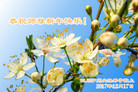 ֹ,Ĵ󷨵ӹףʦ(24)