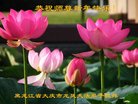 ֹ,󷨵ӹףʦ(19)
