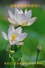法轮功,大庆大法弟子恭祝师尊新年好(19条)
