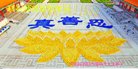 法轮功,河南大法弟子恭祝师尊新年好(21条)