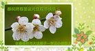 ֹ,󷨵ӹףʦ(20)