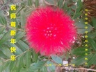 ֹ,󷨵ӹףʦ(21)