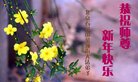 ֹ,󷨵ӹףʦ(19)
