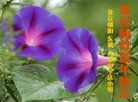 ֹ,󷨵ӹףʦ(19)