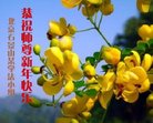 ֹ,󷨵ӹףʦ(19)