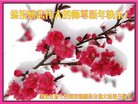 ֹ,󷨵ӹףʦ(19)