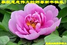 ֹ,ʡ󷨵ӹףʦ(20)