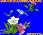 ֹ,ʡ󷨵ӹףʦ(20)
