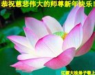法轮功,吉林省大法弟子恭祝师尊新年好(20条)