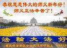 法轮功,重庆大法弟子恭祝师尊新年好(22条)