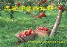 ֹ,ɹŴ󷨵ӹףʦ(21)
