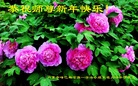ֹ,ɹŴ󷨵ӹףʦ(21)