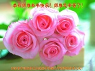 ֹ,󷨵ӹףʦ(22)