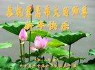 ֹ,󷨵ӹףʦ(21)