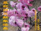ֹ,󷨵ӹףʦ(21)