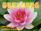 ֹ,󷨵ӹףʦ(21)