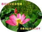 ֹ,󷨵ӹףʦ(20)
