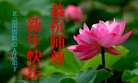 ֹ,󷨵ӹףʦ(21)