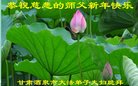 ֹ,󷨵ӹףʦ(21)