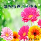 法轮功,云南大法弟子恭祝师尊新年好(20条)