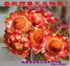 ֹ,󷨵ӹףʦ(24)