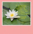 ֹ,󷨵ӹףʦ(19)