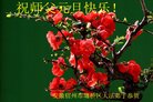 ֹ,մ󷨵ӹףʦ(23)