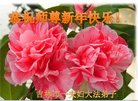 ֹ,д󷨵ӹףʦ(21)