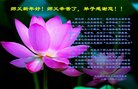 法轮功,大庆大法弟子恭祝师尊新年好(19条)