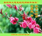 ֹ,󷨵ӹףʦ(20)