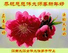 ֹ,󷨵ӹףʦ(20)