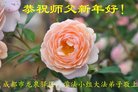 ֹ,ɶ󷨵ӹףʦ(20)