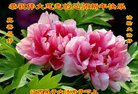 ֹ,󷨵ӹףʦ(20)