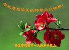 ֹ,󷨵ӹףʦ(22)
