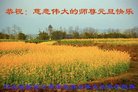 ֹ,żҿڴ󷨵ӹףʦ(22)