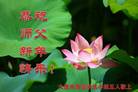 ֹ,󷨵ӹףʦ(20)