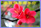 ֹ,󷨵ӹףʦ(21)