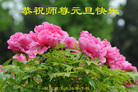 ֹ,󷨵ӹףʦ(21)