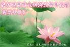 ֹ,ľ˹󷨵ӹףʦ(18)