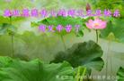法轮功,佳木斯大法弟子恭祝师尊新年好(18条)