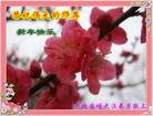 ֹ,ӱ󷨵ӹףʦ(18)
