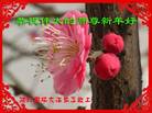 ֹ,ӱ󷨵ӹףʦ(18)